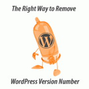 WordPress version number