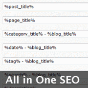 User’s Guide for All in One SEO Pack