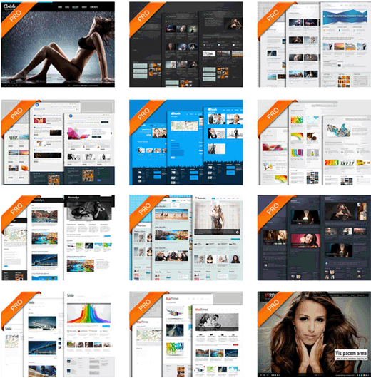 DX Themes DX Themes