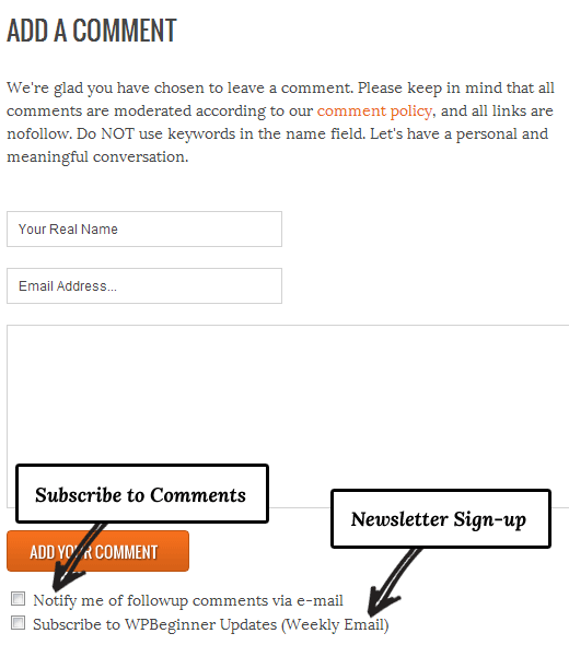 WPBeginner Comments Explained