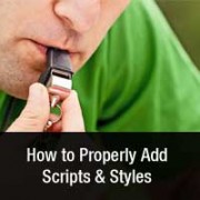 Properly Add Scripts and Styles in WordPress