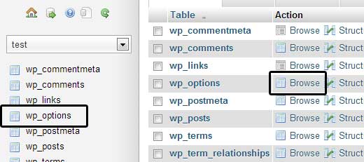 Browse wp_options in phpMyAdmin