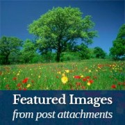 How to Add Post Images as Featured Image in WordPress