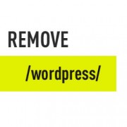 Remove WordPress from URL