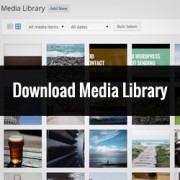 How to Download Your Entire WordPress Media Library