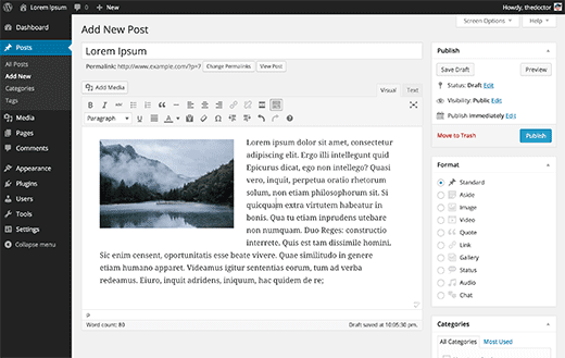 Editing a post in WordPress visual editor