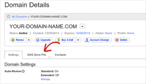 Launch DNS Zone File in GoDaddy Launch DNS Zone File in GoDaddy