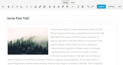 Preview of Just Writing's distraction free writing mode
