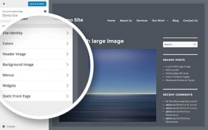 Twenty Sixteen in theme customizer Twenty Sixteen in theme customizer