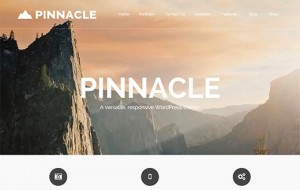 Pinnacle Pinnacle