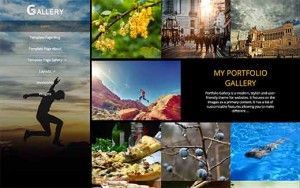 Portfolio Gallery Portfolio Gallery