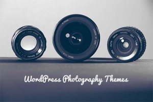 Finding the best free WordPress photography themes Finding the best free WordPress photography themes
