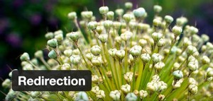 Redirection plugin for WordPress Redirection plugin for WordPress