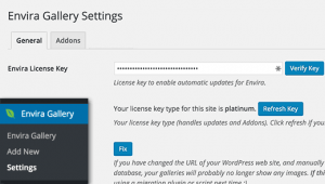 Envira Gallery settings page Envira Gallery settings page
