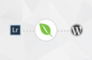 How to Upload Photos from Adobe Lightroom to WordPress How to Upload Photos from Adobe Lightroom to WordPress