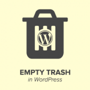 How to Limit or Disable Automatic Empty Trash in WordPress