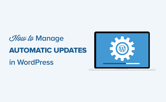 How to Better Manage Automatic WordPress Updates