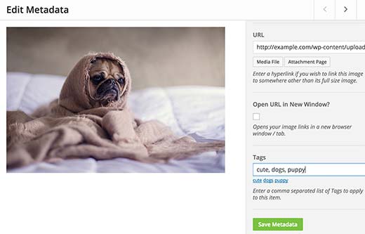 Envira add tags Envira add tags