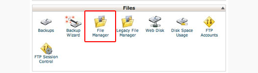 File Manager icon in cPanel File Manager icon in cPanel