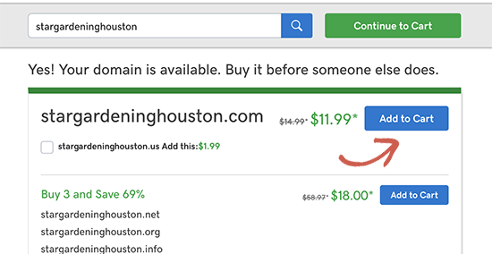 Add domain name to the cart