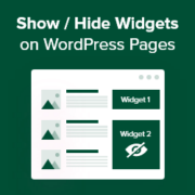 How to show or hide widgets
