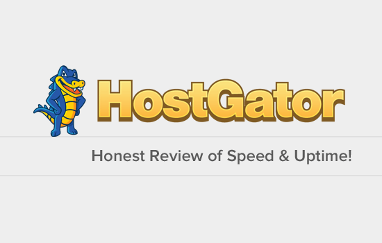 Hostgator Review 2020 Quality Speed Tests With Screenshots Images, Photos, Reviews
