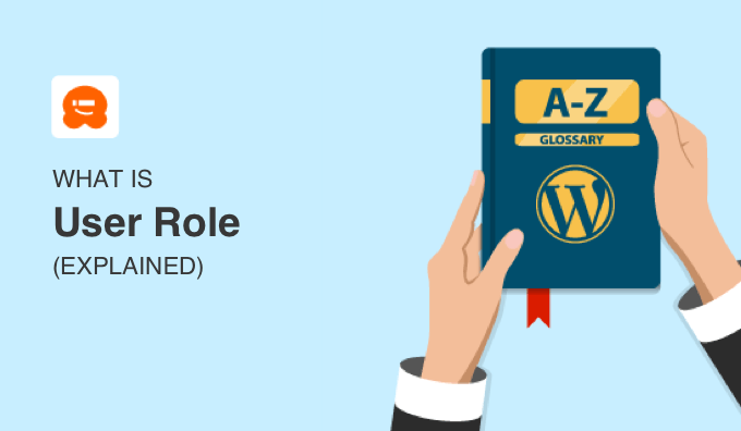 What Is a User Role in WordPress?