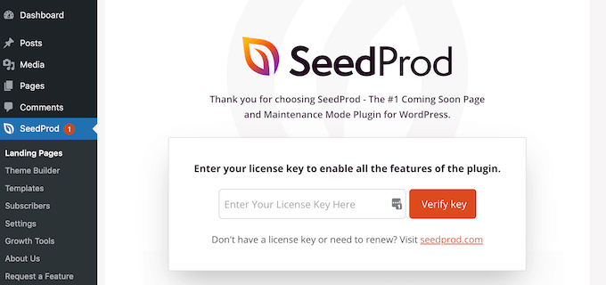 SeedProd lisans anahtarını ekleme
