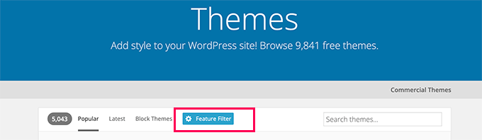 Feature filter in WordPress.org theme directory