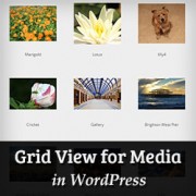 How to Add Grid View for Media Library in WordPress