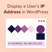 How to display a user's IP address in WordPress