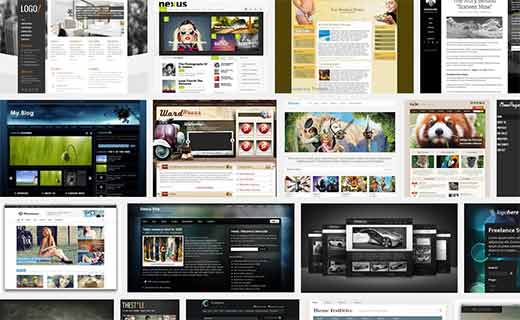 WordPress Themes