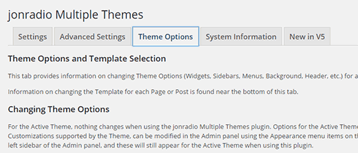 Configuring theme options