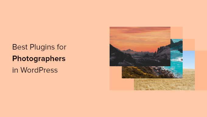 Best WordPress plugins for photographers