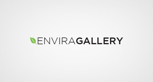 Envira畫廊