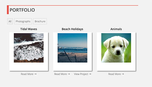 Portfolio section on a WordPress site