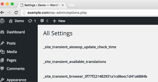 Страница скрытых опций в WordPress