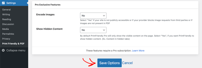 Click the Save Options Button to Store Your Settings