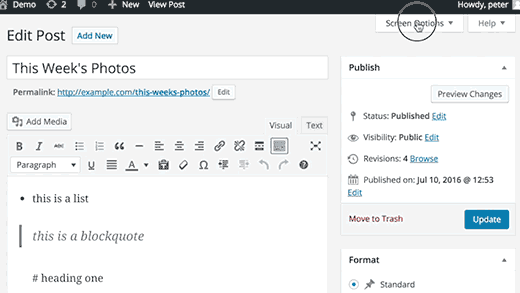 Screen Options menu in WordPress