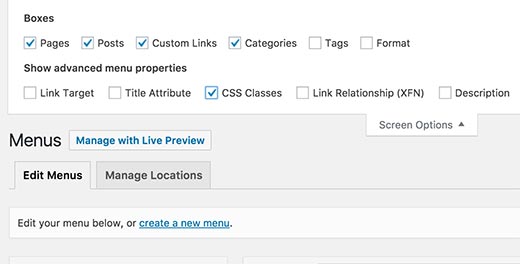 Enable CSS classes option in WordPress menus screen