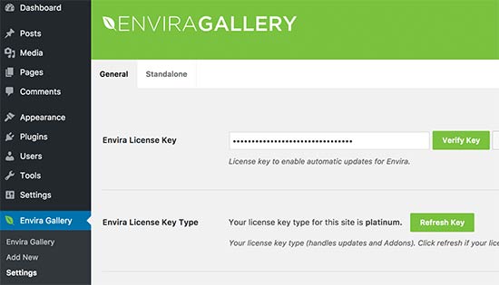 Введите лицензионный ключ Envira Gallery