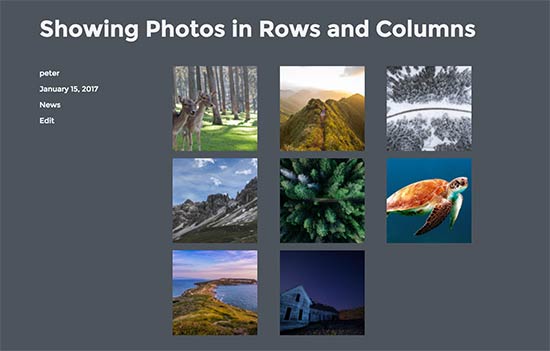 Photos in rows and column layout in WordPress