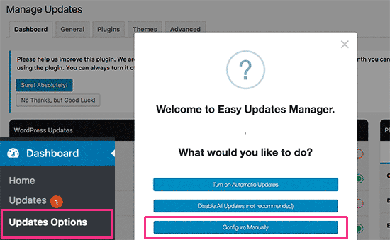 WORDPRESS easy updates Manager. Easy update