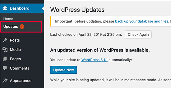Update WordPress Version