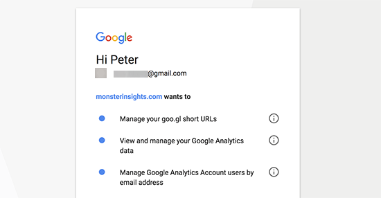 Allow MonsterInsights to access your Google Analytics account