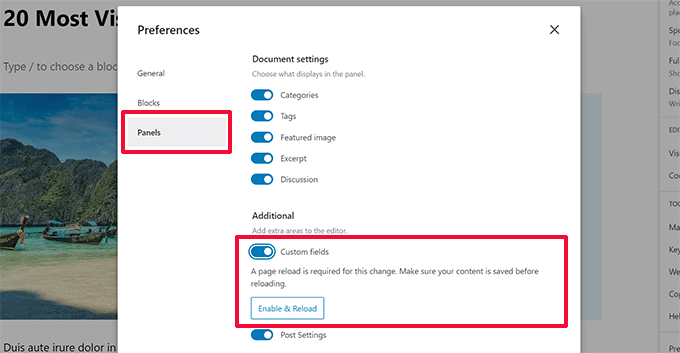 Show custom fields panel