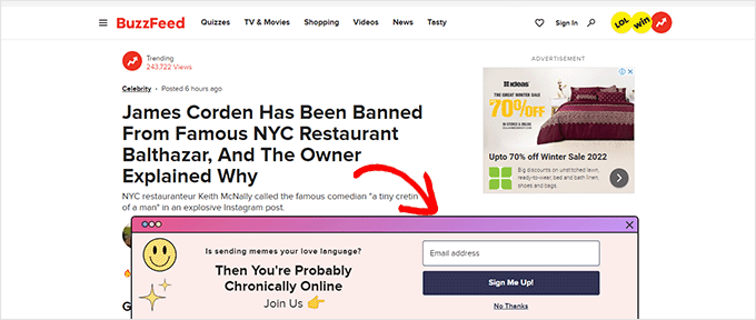 Пример всплывающего окна BuzzFeed email optin