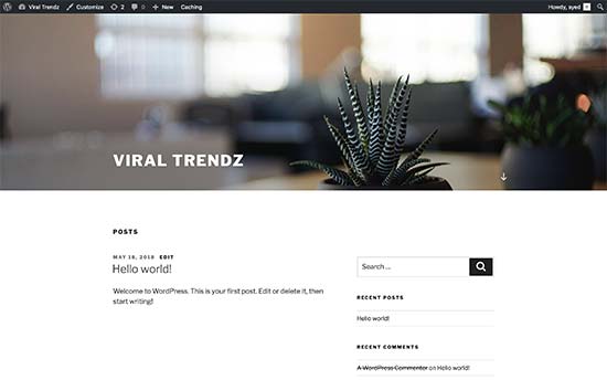 Default WordPress theme