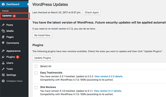 Страница обновлений в области администрирования WordPress