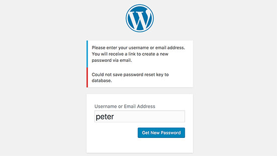 Password reset key error in WordPress